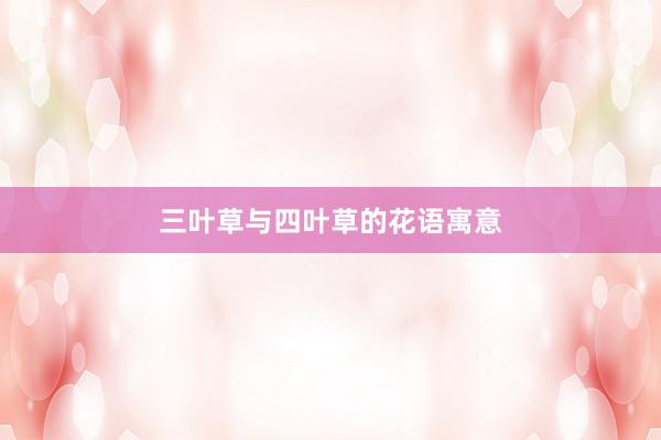 三叶草与四叶草的花语寓意
