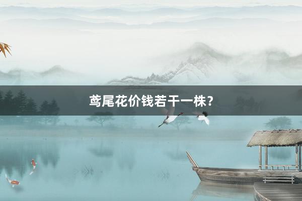 鸢尾花价钱若干一株？