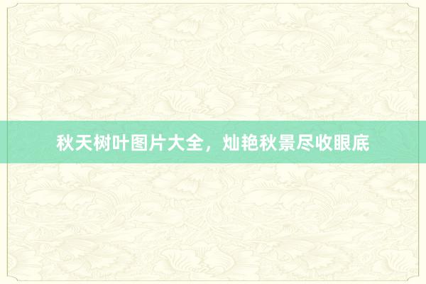 秋天树叶图片大全，灿艳秋景尽收眼底